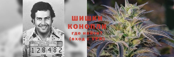 сатива Волосово