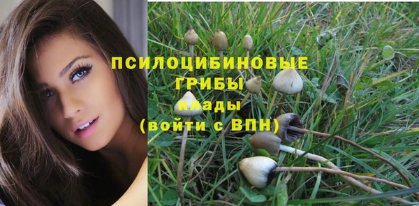 тгк Волоколамск