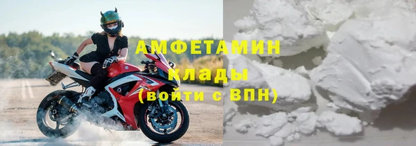 прущие крисы Верея