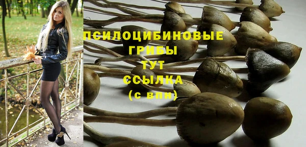 ешки Верхний Тагил