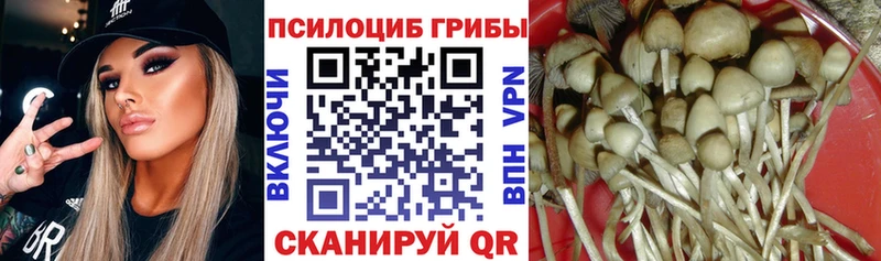 ссылка на мегу ТОР  Мантурово  Галлюциногенные грибы MAGIC MUSHROOMS 